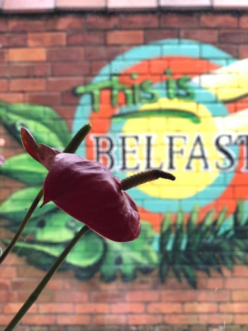 Cosy Two Bed Terraced House 7Min Drive From City Belfast Bagian luar foto